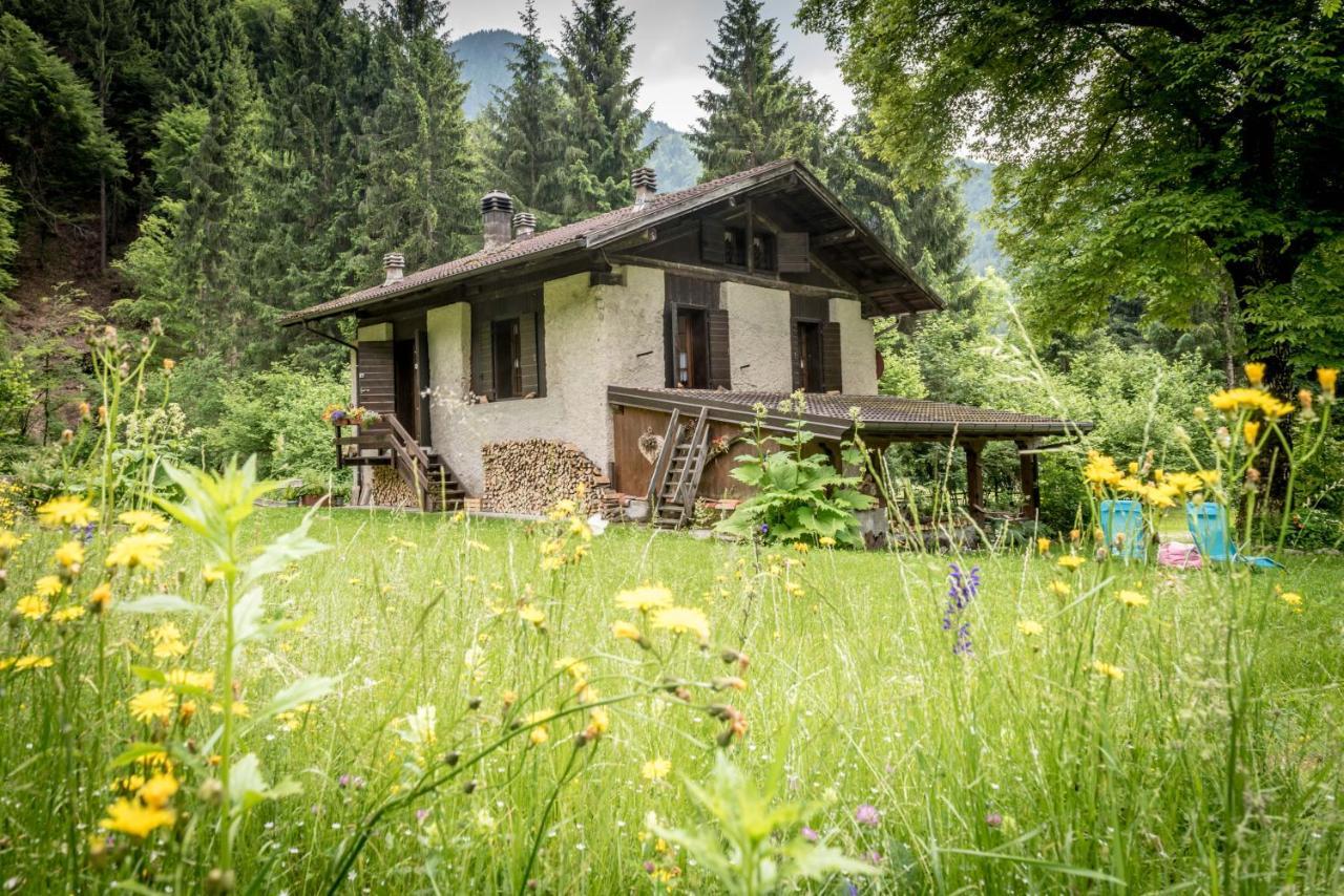 Villa Chalet Silenthia à Lenzumo di Concei Extérieur photo