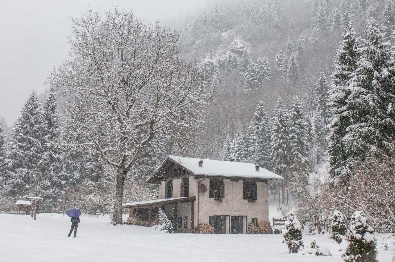 Villa Chalet Silenthia à Lenzumo di Concei Extérieur photo